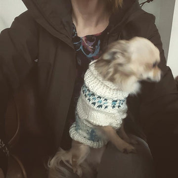 The Yorkie Christmas Jumper