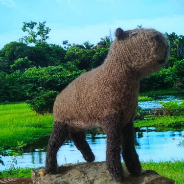 Capybara