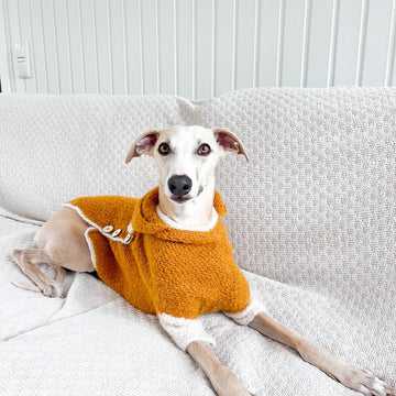 Doggo no 19 sweater