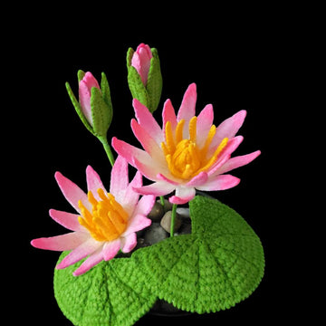 Crochet Water lily flowers pattern