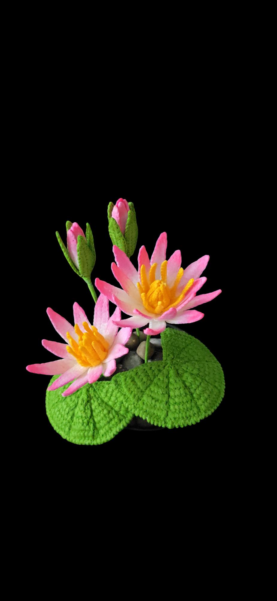 Crochet Water lily flowers pattern