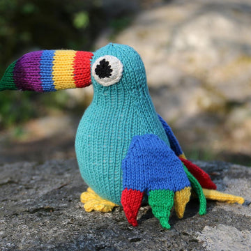 Toucan Tim