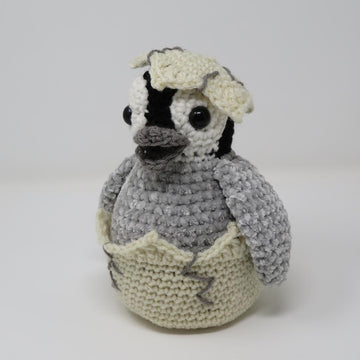 Hatching Penguin Chick