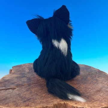 Australian Shepherd Moon