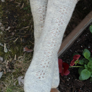 Rooted Steps