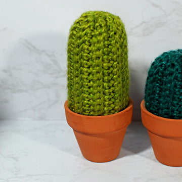 Amigurumi Cactus