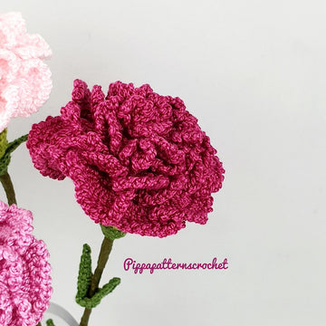 Carnation