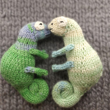 Chameleon knitting pattern