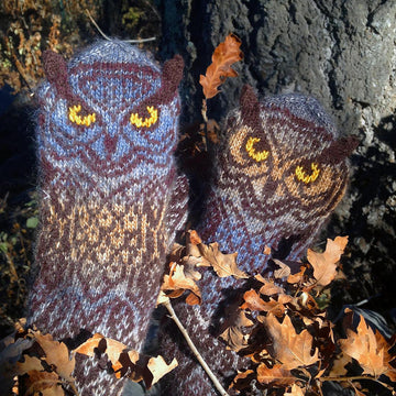 Owl Around