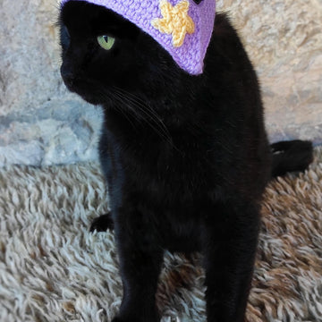 Crochet purple wizard cat hat