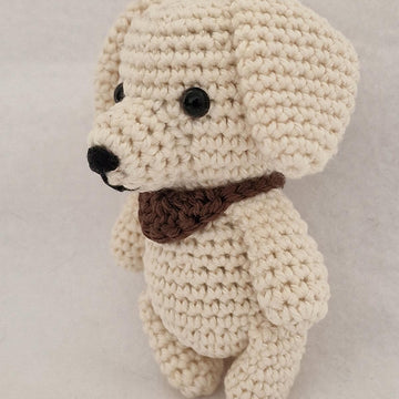 Labrador Retriever Dog