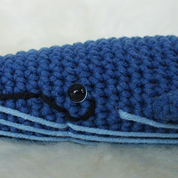 Vera the Blue Whale