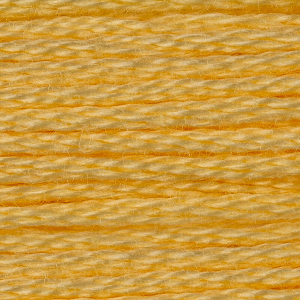 DMC Stranded Cotton - Warm Shades