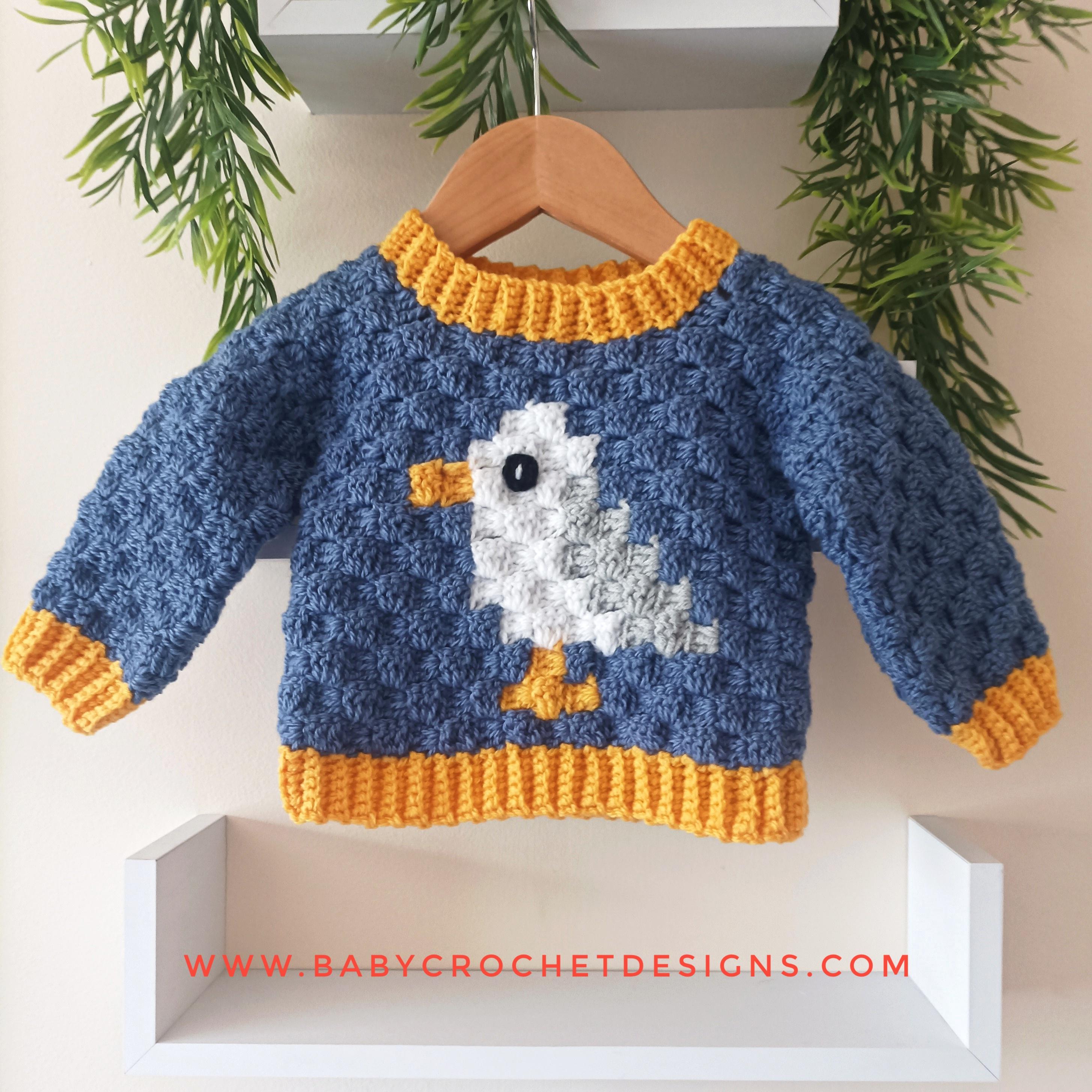 C2C Jumper Birds