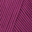 Raspberry (11)