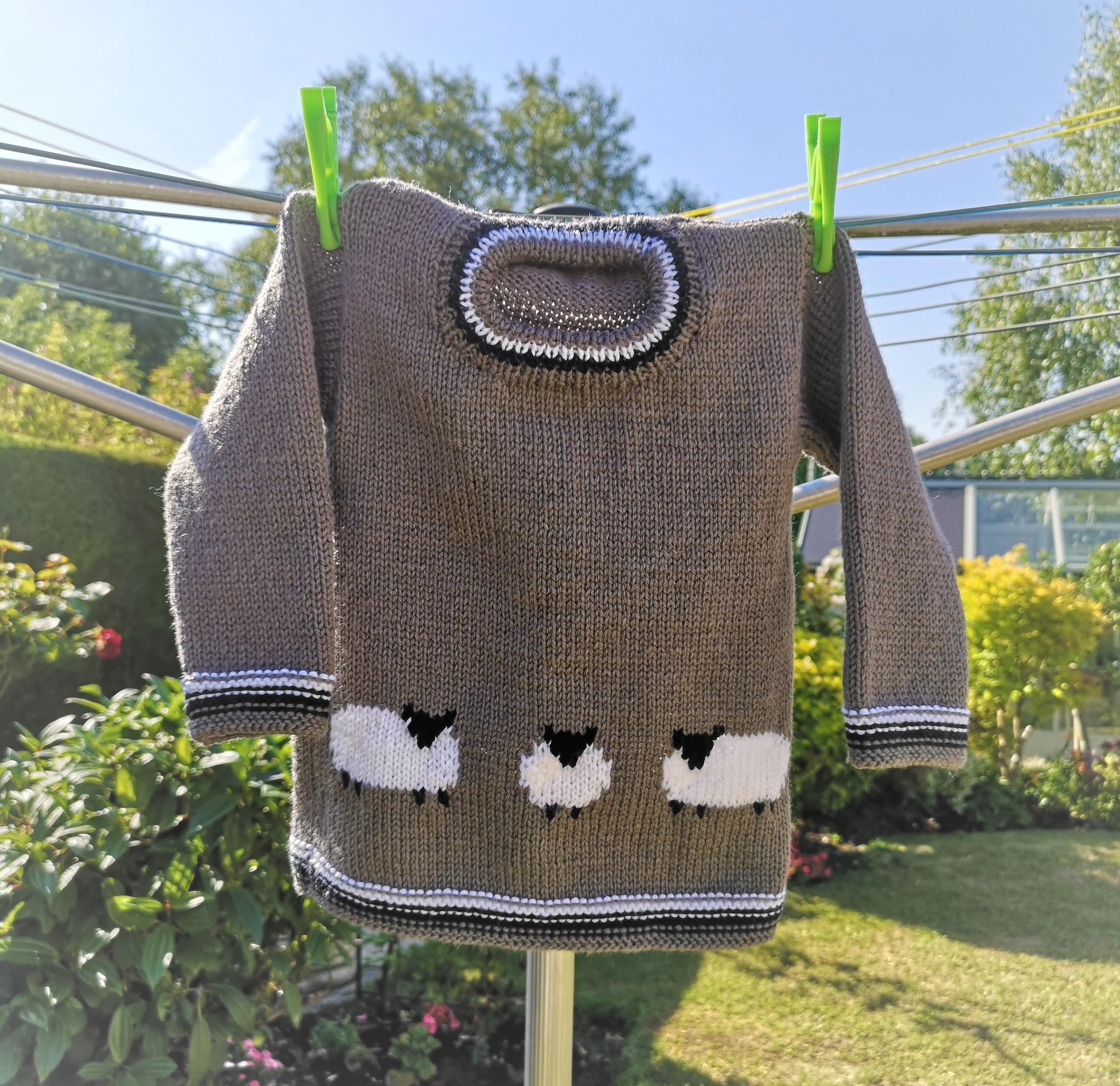 Child's Sheep DK Sweater