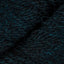 Blackbeck (CU170)