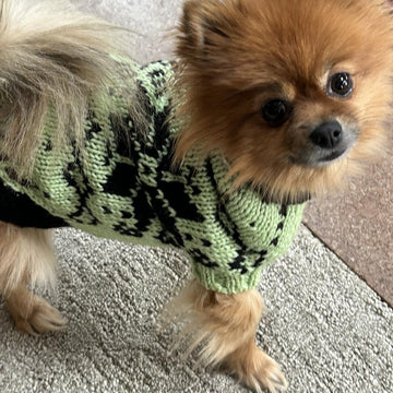 Snowy pup Sweater