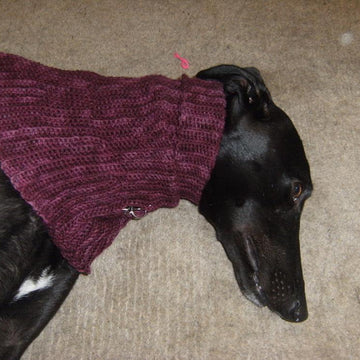Greyhound snood