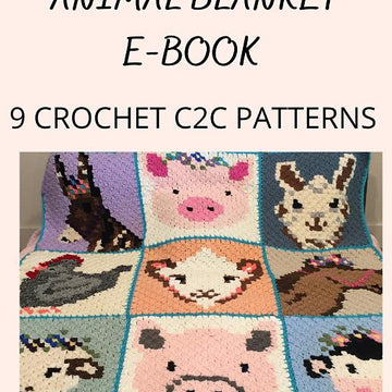 Rocky the Pig C2C Graphgan Square
