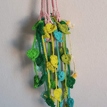 Trail of hearts hanging plant