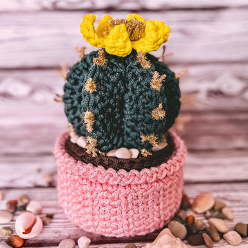 Basket cactus