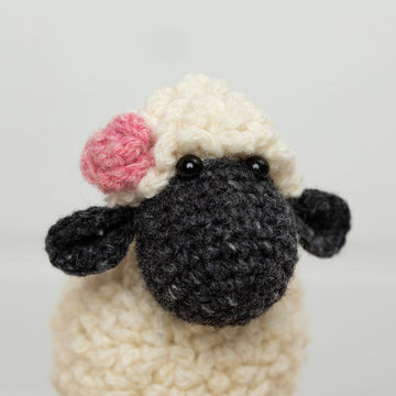 Sheep Mr and Mrs