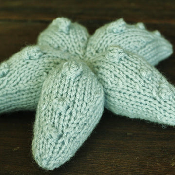 Sea Star