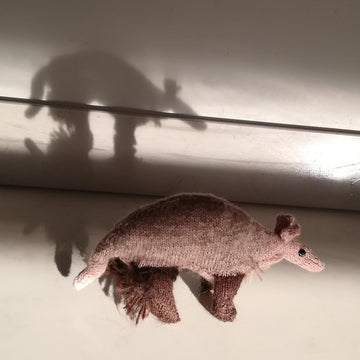 Aardvark