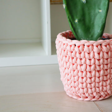 The Cactus Cozy