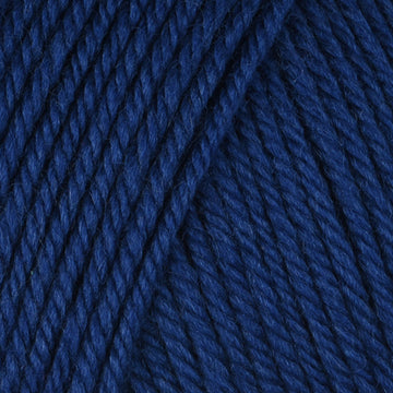 In The Navy (885)