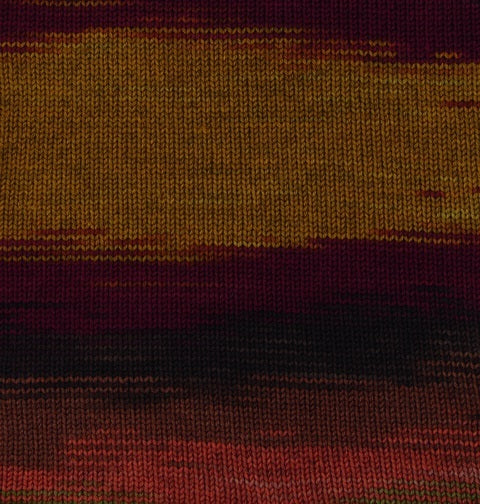 Regia Premium Merino Yak Color