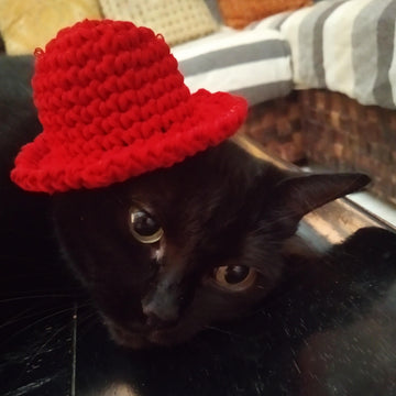 Mini hat crochet pattern