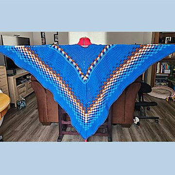 Bluebird Poncho
