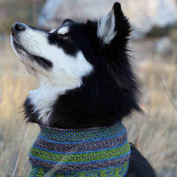 Yankee Hill Cowl