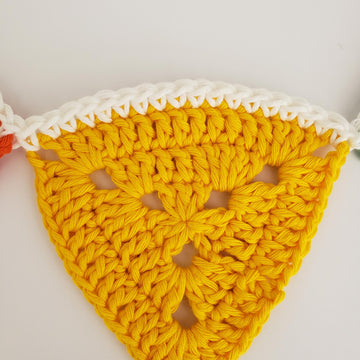 Celebration Rainbow Bunting