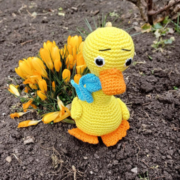 Clotild duck