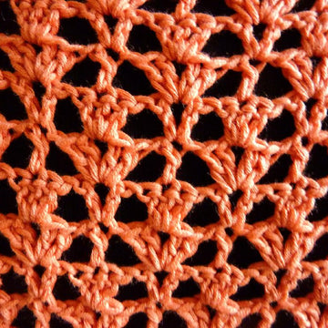 Mango Flip Lace Crochet Top