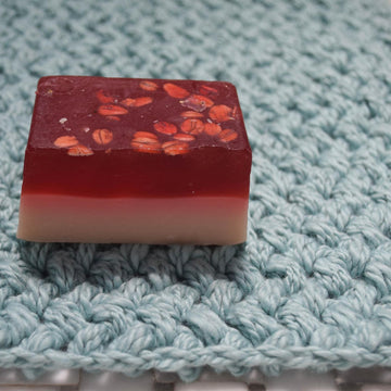 Scrub-a-dub-dub Washcloth