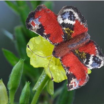 A Flutter of Butterflies
