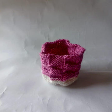 Bakers Basket Plant