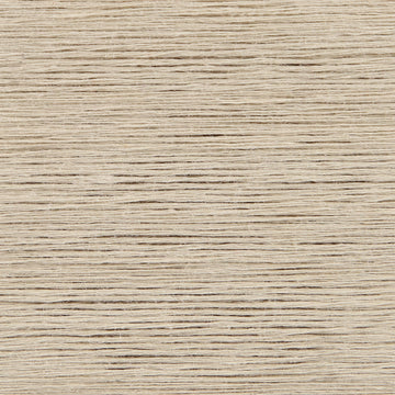 Bone (3)