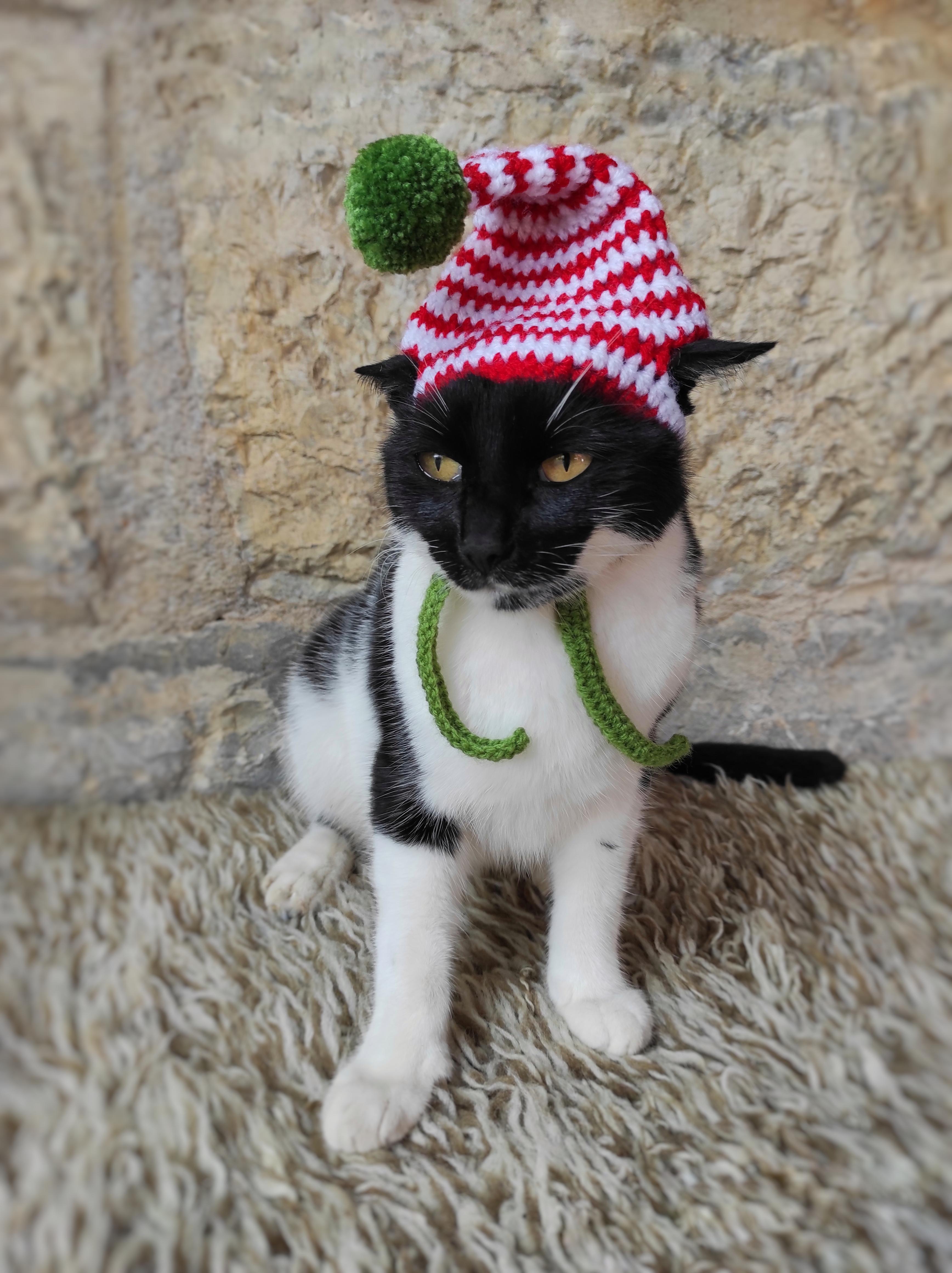 Elf Cat Hat - Crochet Pattern