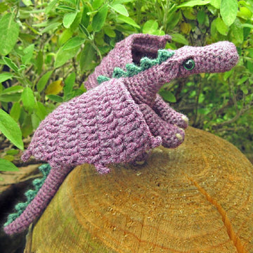Fierce Little Dragon