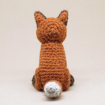 Young Flamsie the fox
