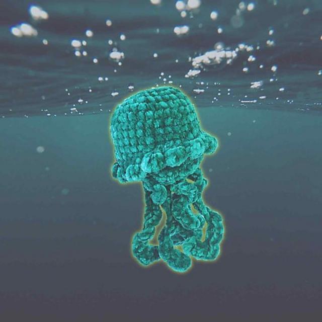 Velvet Jellyfish