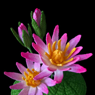 Crochet Water lily flowers pattern