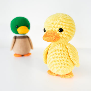 Phoenix the Lovely Duck