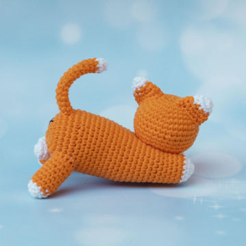 Stretching kitten