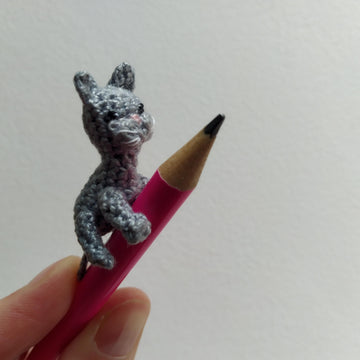 Tiny kitten